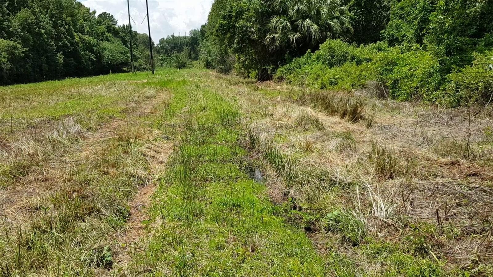 Land at 9438 SE HWY 464C SE, OCKLAWAHA, photo 10 of 12
