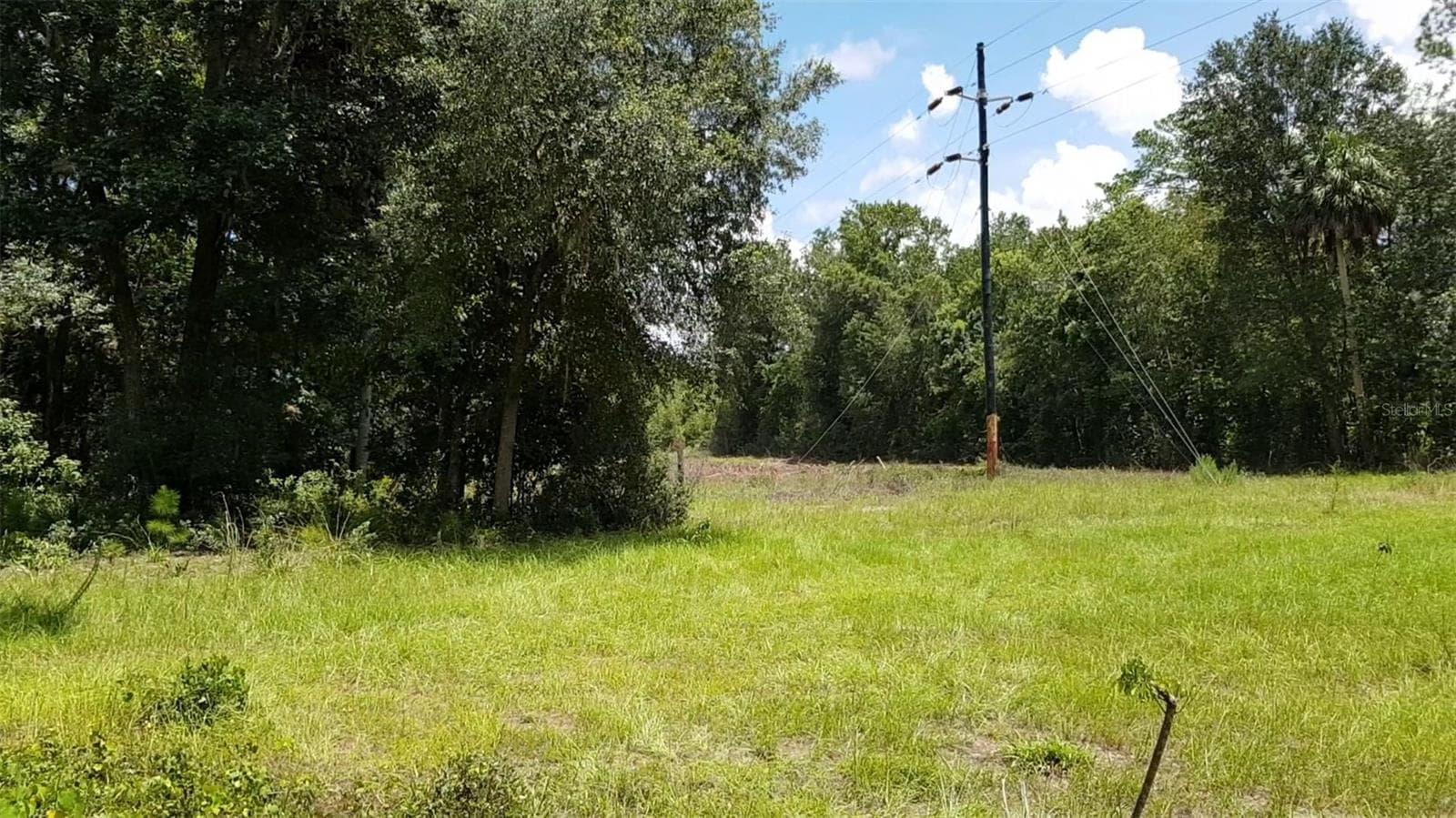 Land at 9438 SE HWY 464C SE, OCKLAWAHA, photo 11 of 12