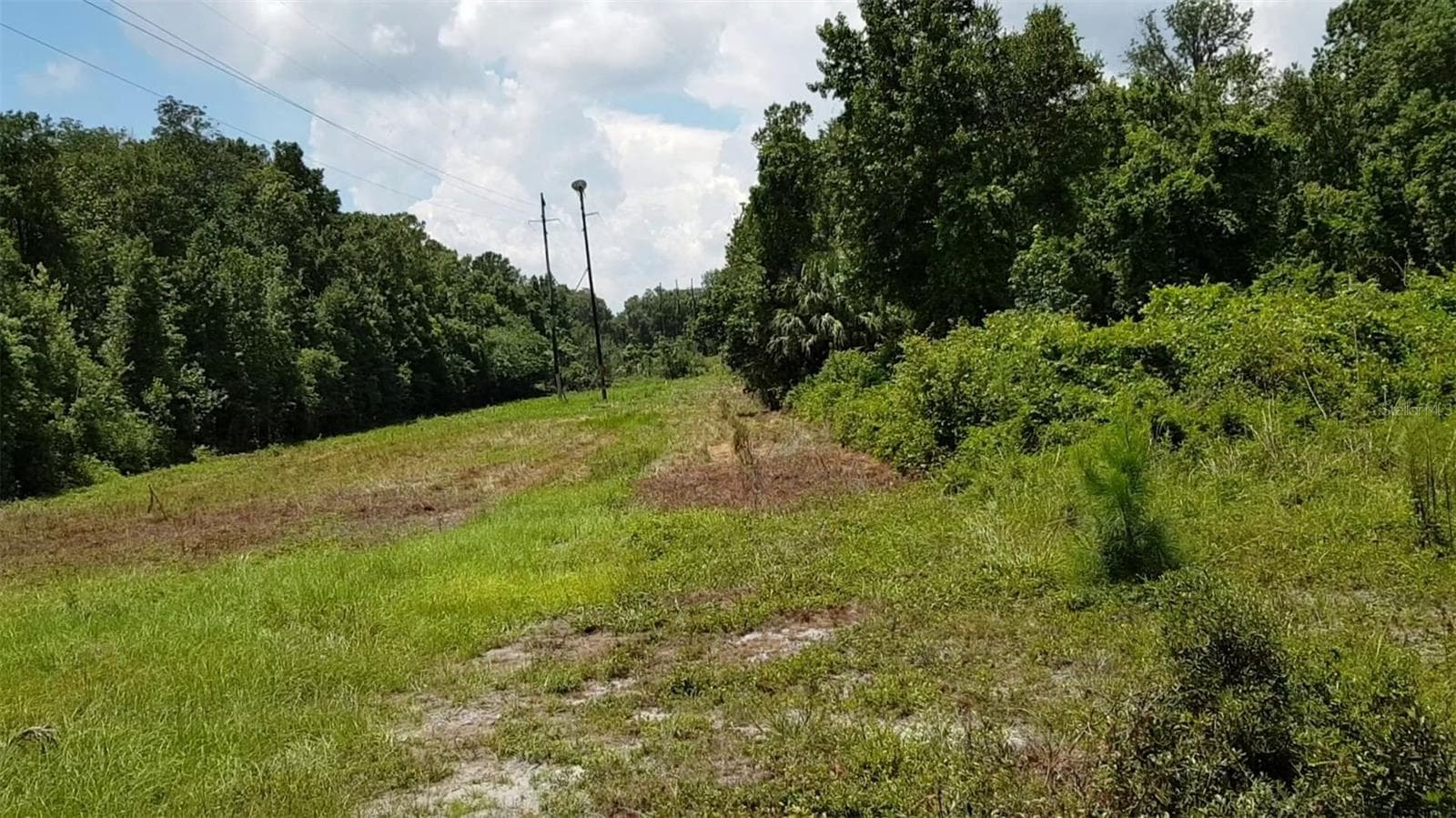 Land at 9438 SE HWY 464C SE, OCKLAWAHA, photo 12 of 12