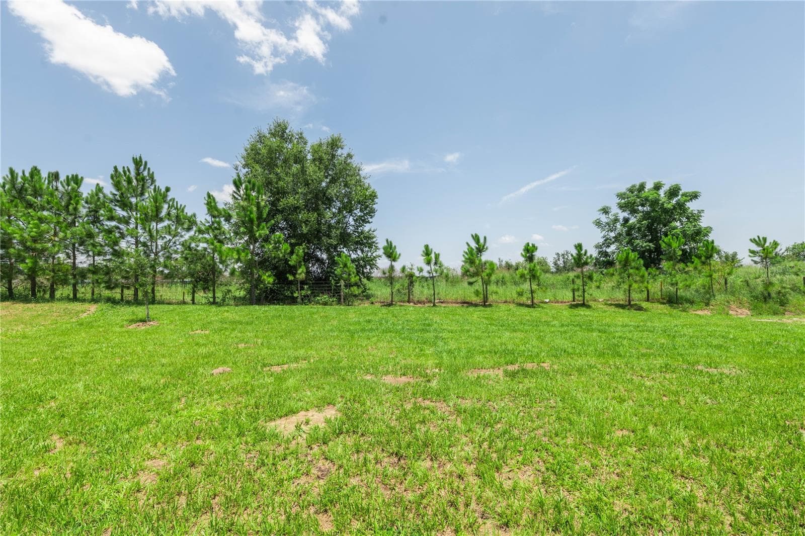 Single Family Residence at 3108 EVELYN LN, BARTOW, photo 29 of 31