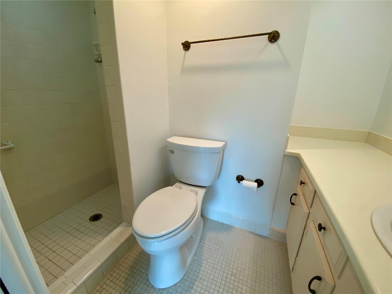 Step in shower - 2403 S ARDSON PL #402B, TAMPA