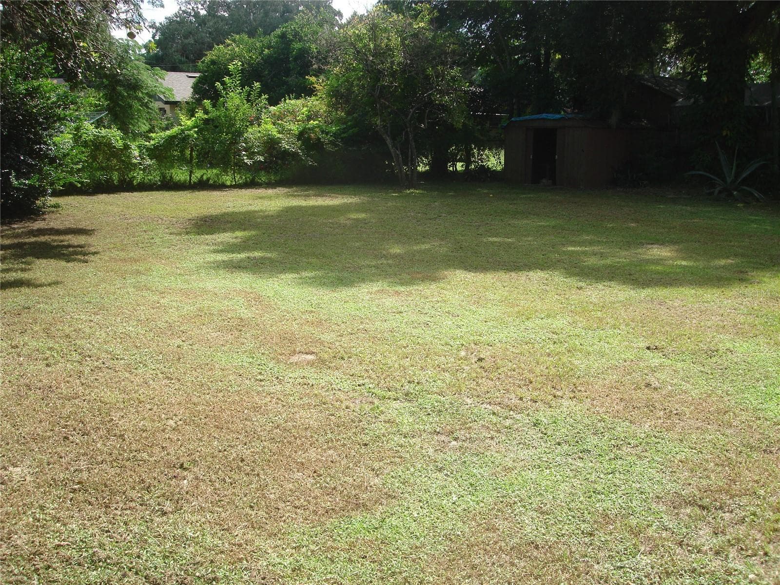 BACKYARD - 1300 PARK AVE, TAVARES