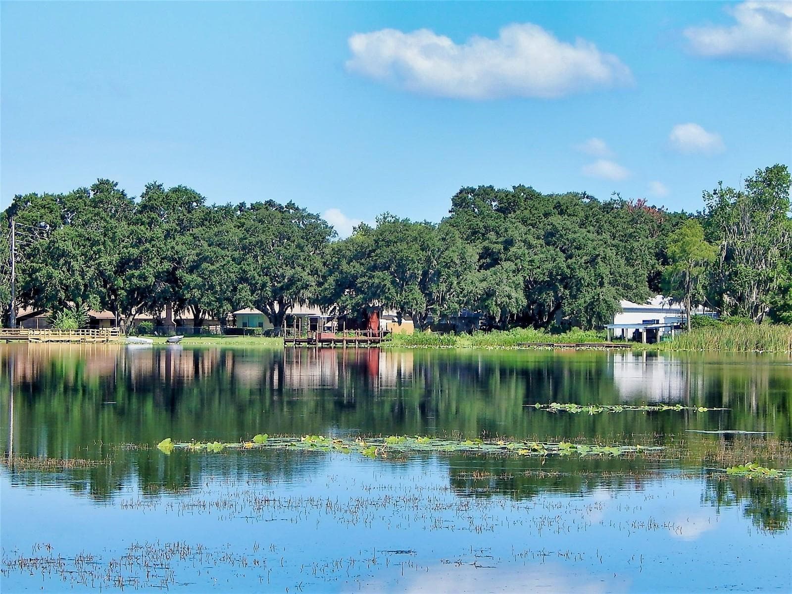 Single Family Residence at 3017 BAY LAKE RD, ORLANDO, photo 40 of 49