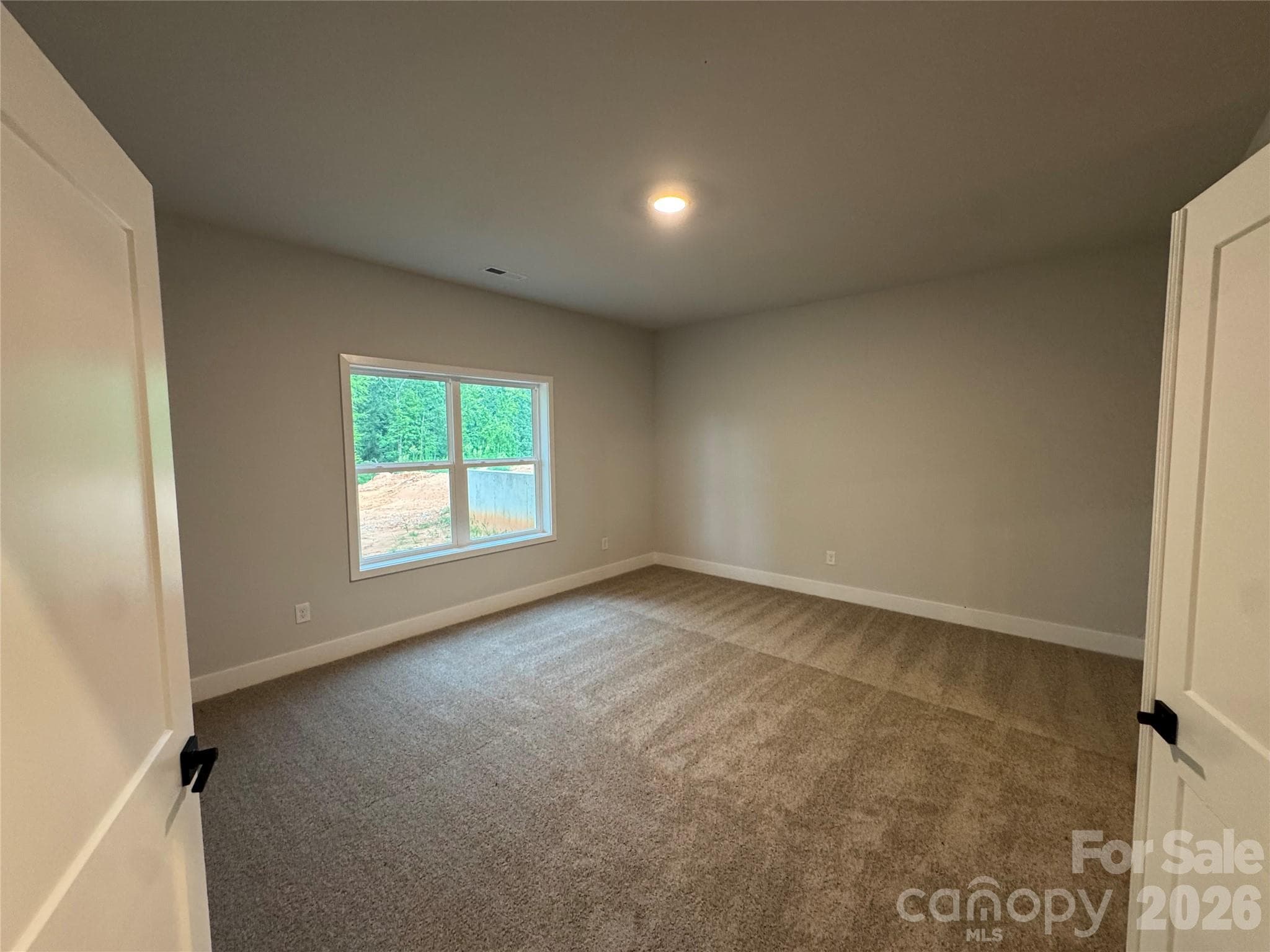 Basement Flex Space with Closet and full bathroom - 133 Kerr Walk Drive, Statesville