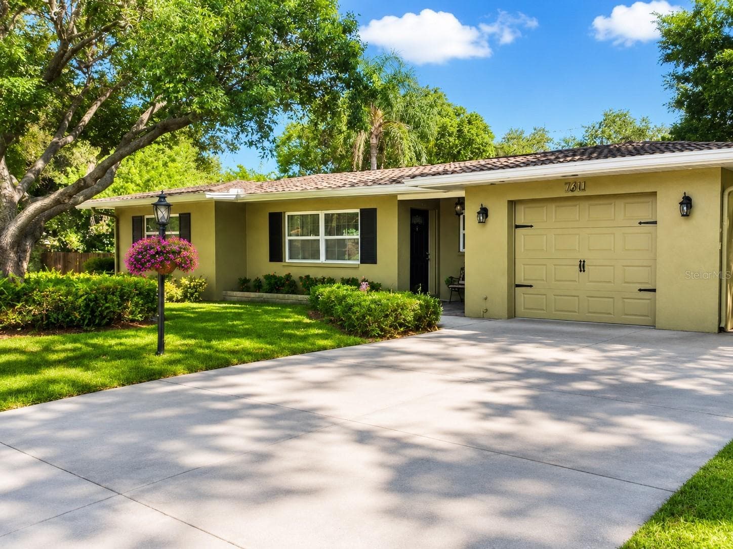 1637 WHITEWOOD DR