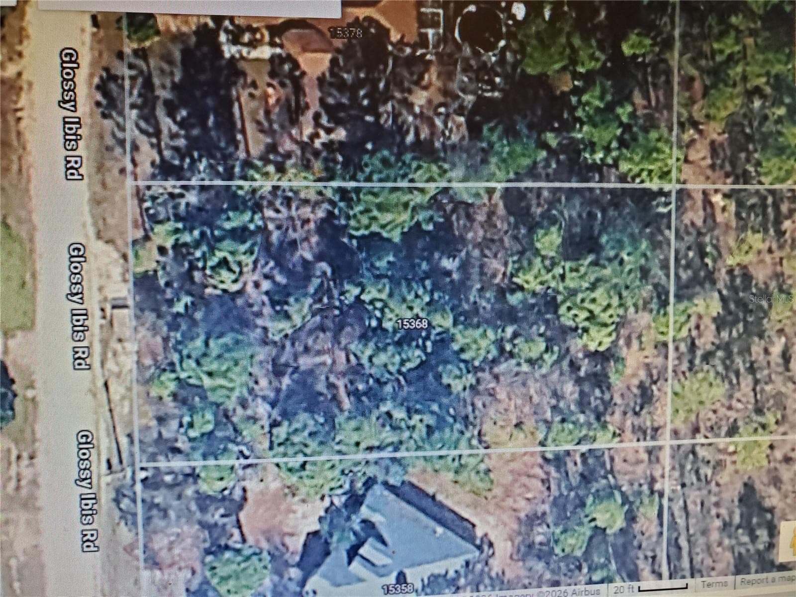 Ready for you to build your dream home! - 15368 GLOSSY IBIS RD, WEEKI WACHEE