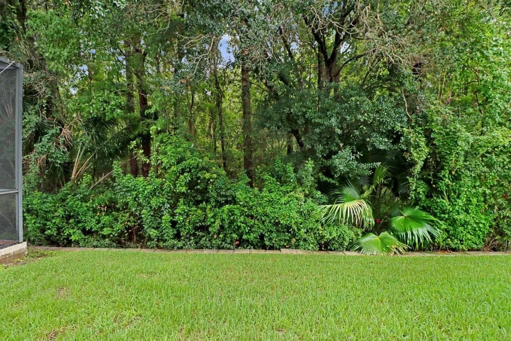 Single Family Residence at 16116 IVY LAKE DR, ODESSA, photo 22 of 51