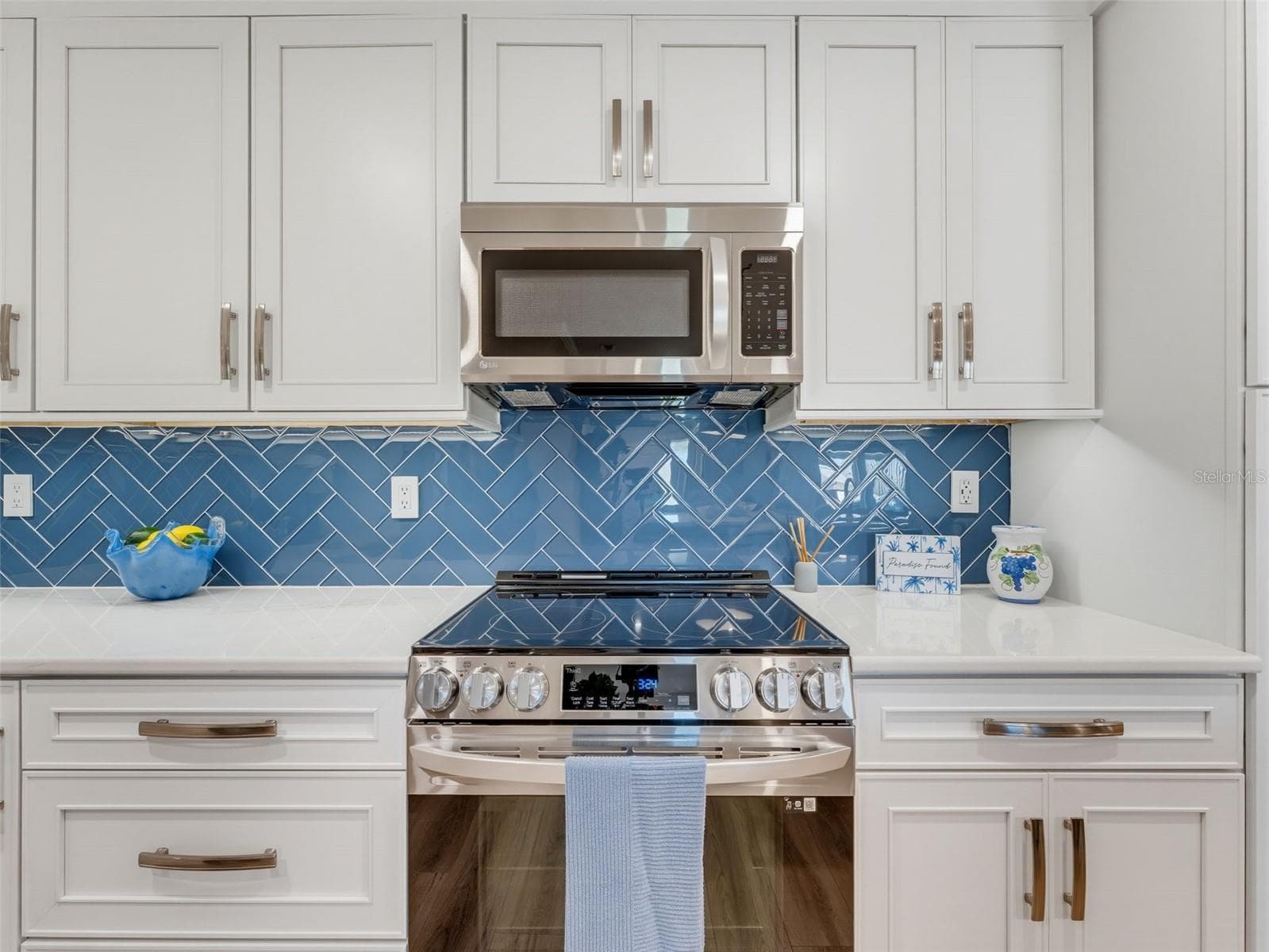 Stainless Steel appliances - 1372 CARLISLE CT, DUNEDIN