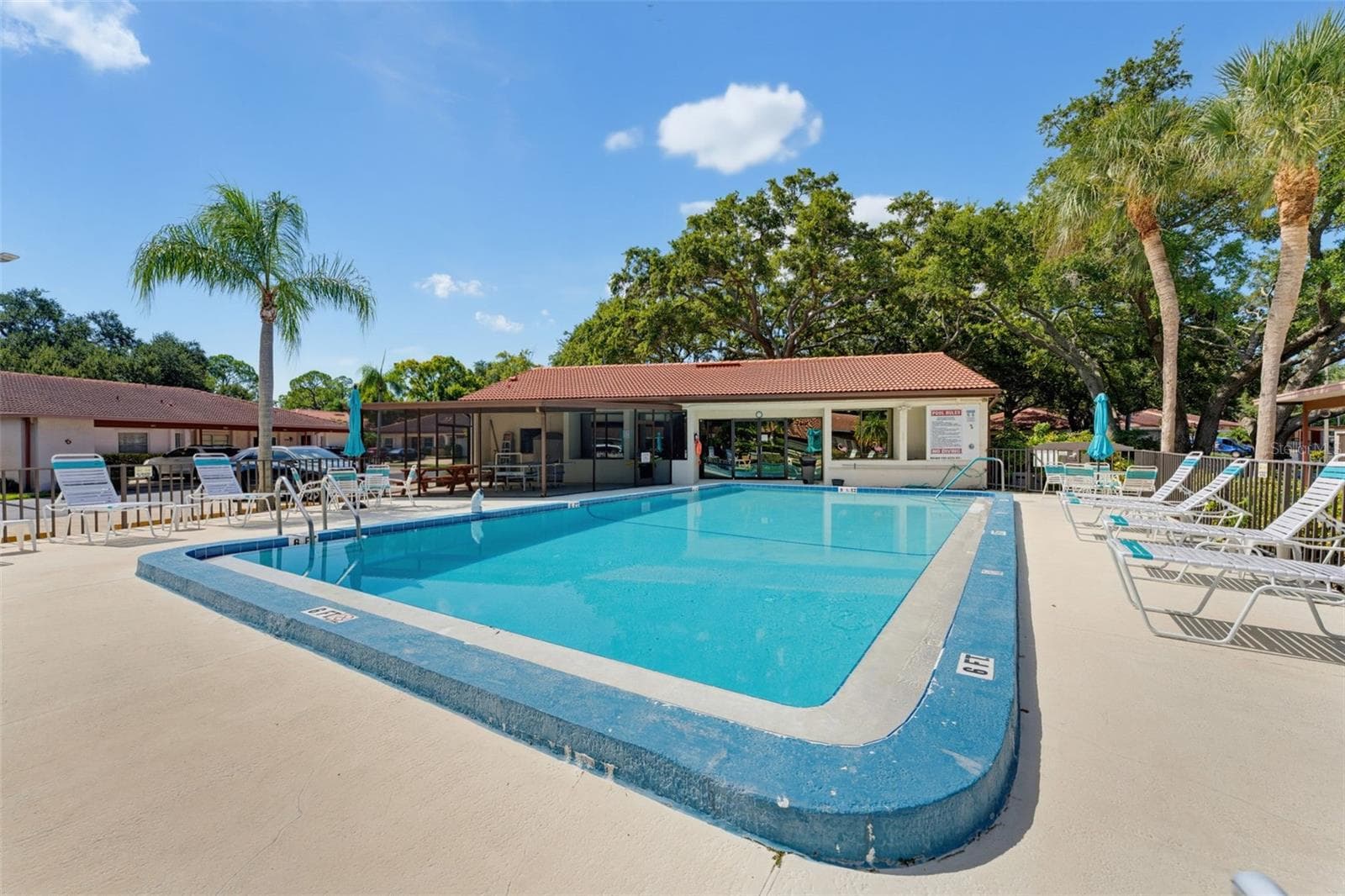 Heated pool #2 - 1372 CARLISLE CT, DUNEDIN
