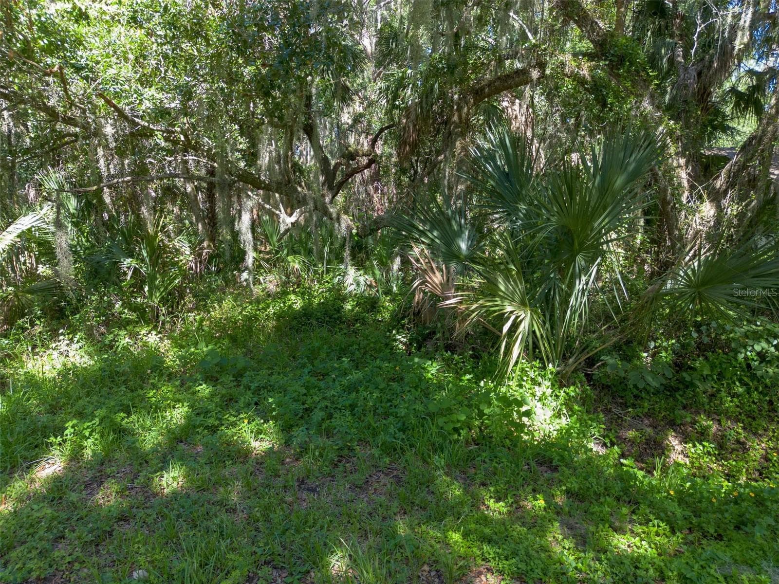 Land at BEACH PARKWAY, LAKE WALES, photo 2 of 34