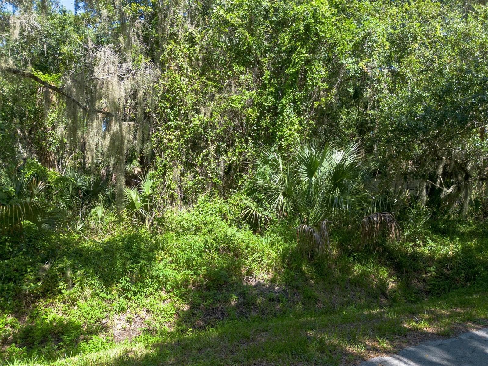 Land at BEACH PARKWAY, LAKE WALES, photo 3 of 34