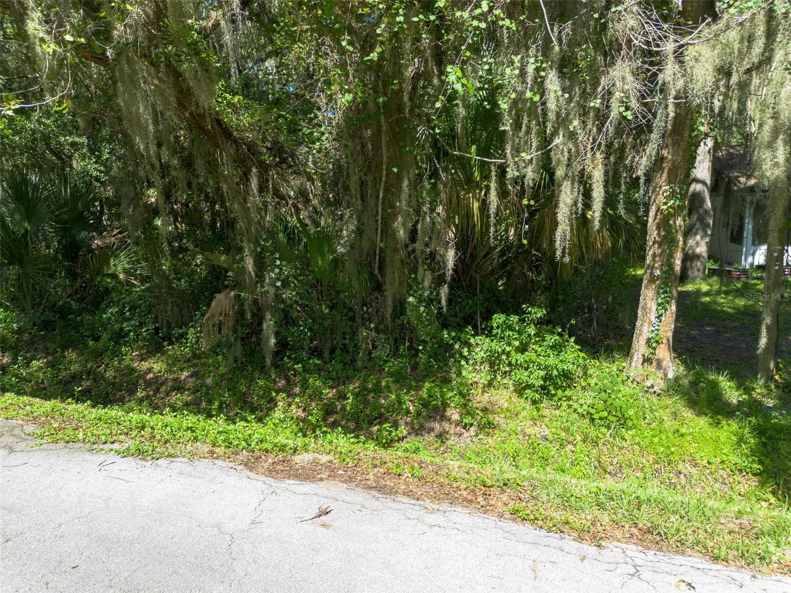 Land at BEACH PARKWAY, LAKE WALES, photo 4 of 34