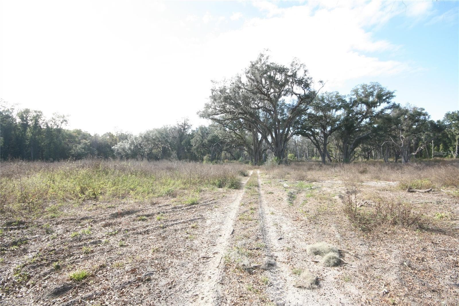 Land at US HWY 301-6 ACRES, CITRA, photo 5 of 5