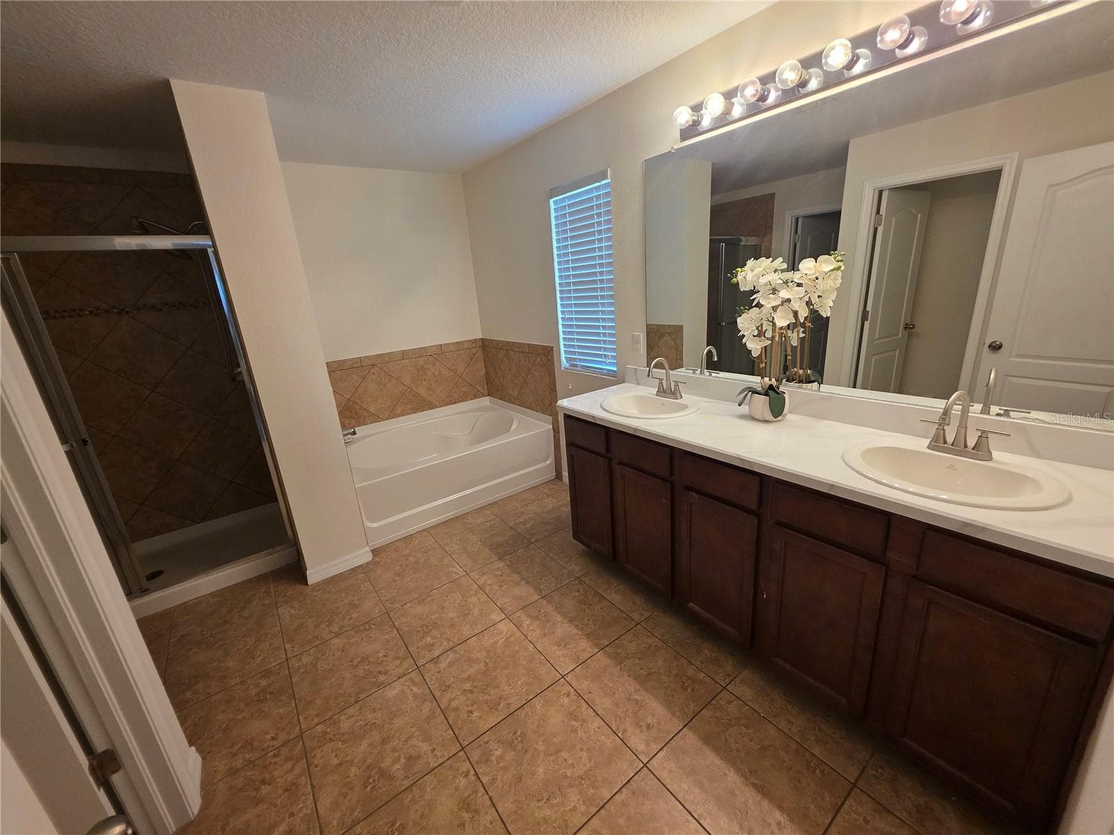Master Bathroom - 2623 HOLLY BLUFF CT, PLANT CITY