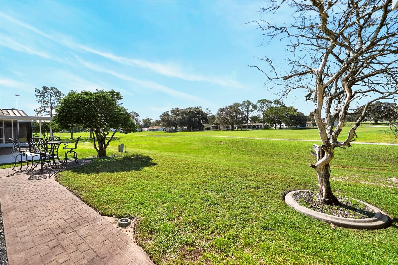 Your Back Yard - 1712 W SCHWARTZ BLVD, THE VILLAGES