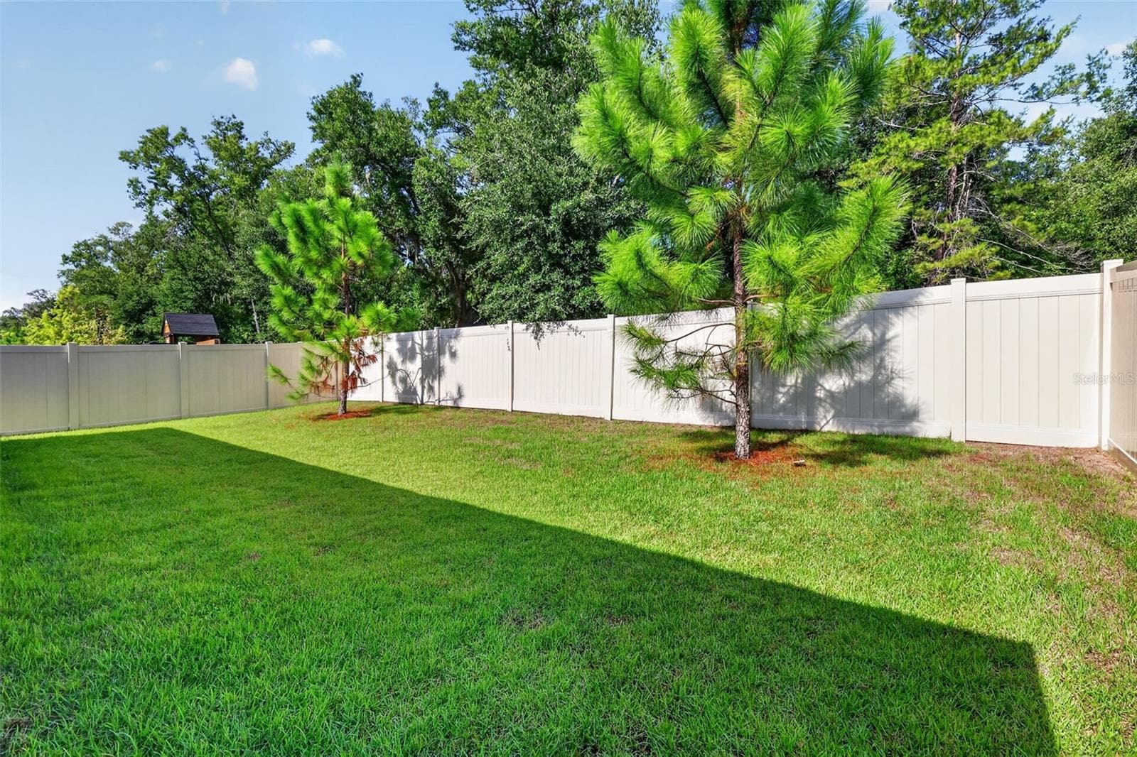 Back yard - 2345 SIRENA LN, MOUNT DORA