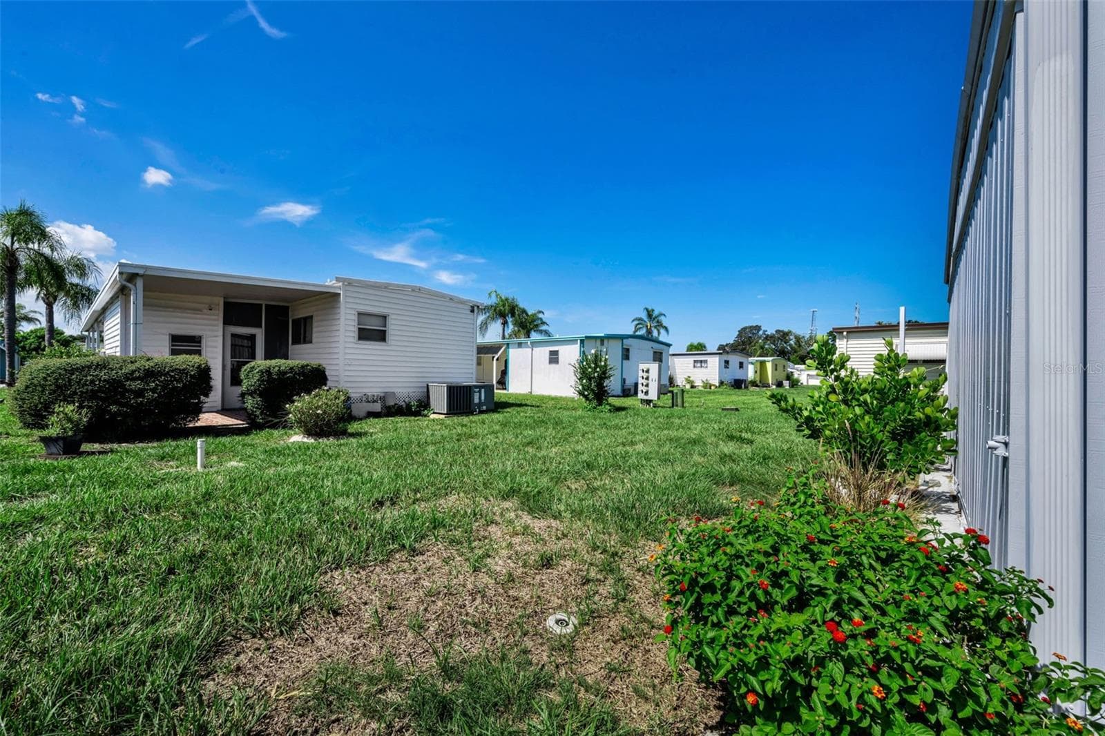 BACK YARD - 143 MELODY LN, TARPON SPRINGS