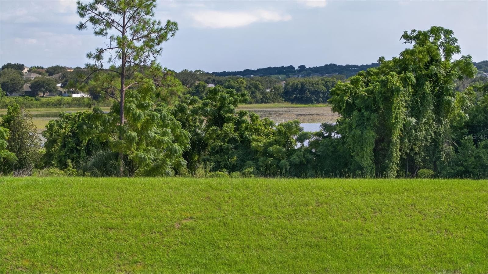 Single Family Residence at 908 BRAEWOOD DR, CLERMONT, photo 23 of 79