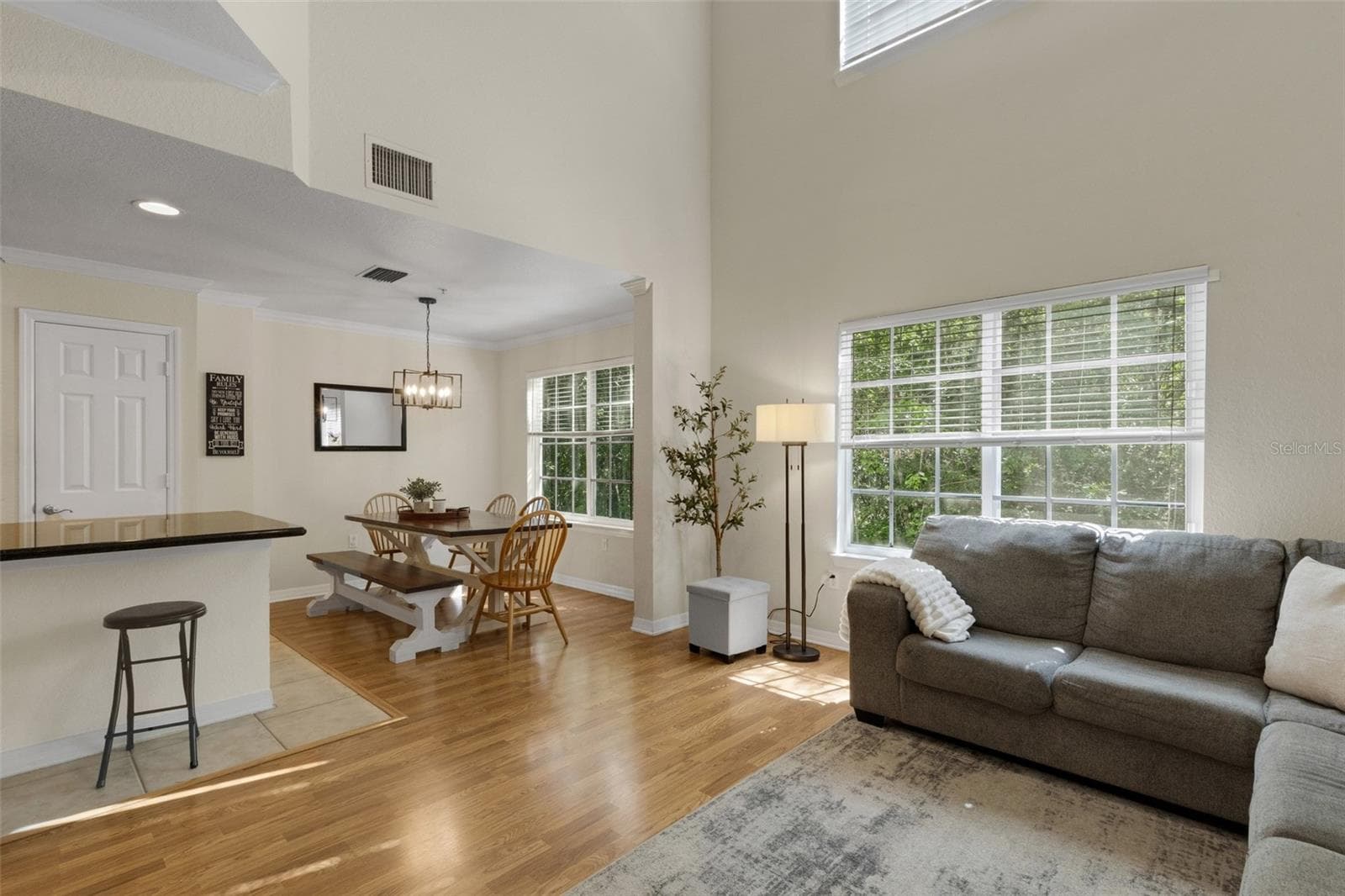 Second Floor- Main Living area, dining, kitchen, bonus area - 9872 MEADOW FIELD CIR #503, TAMPA