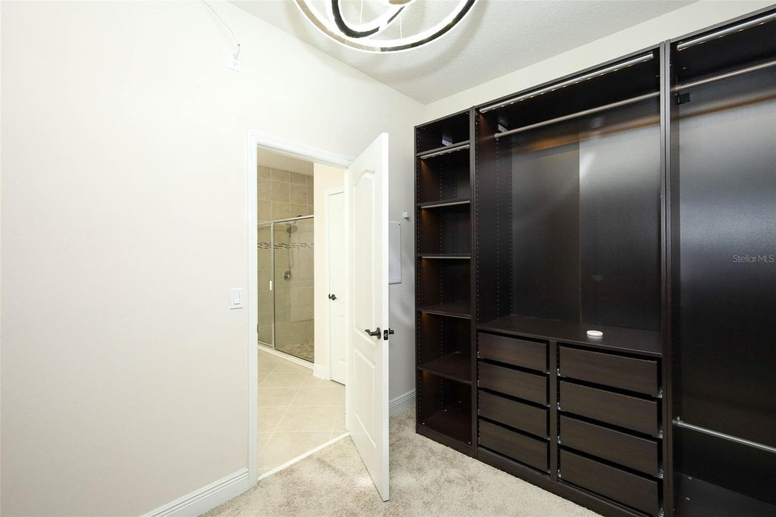 WALKING CALIFORNIA CLOSET - 12397 STONE BARK TRL, ORLANDO