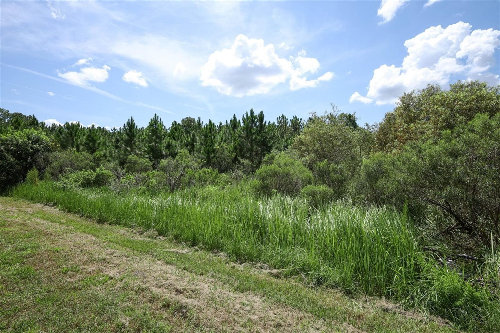 View of the rear exterior of the property. - 12397 STONE BARK TRL, ORLANDO