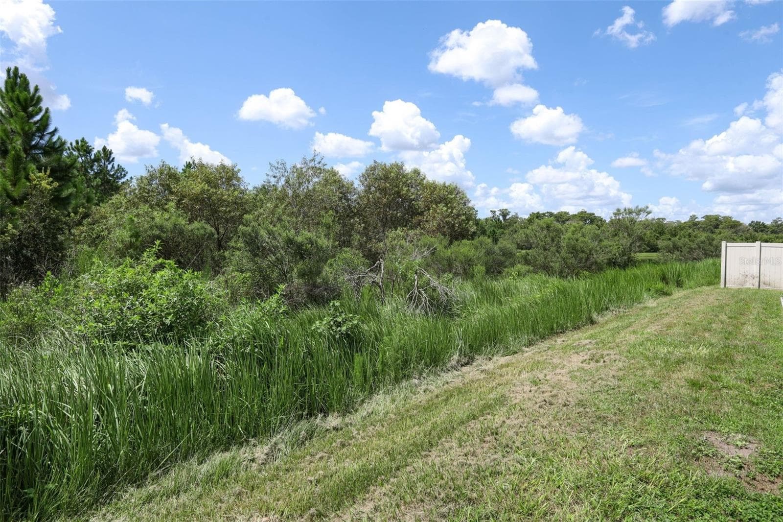 View of the rear exterior of the property. - 12397 STONE BARK TRL, ORLANDO