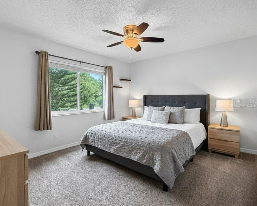 Virtually Staged - Bedroom 1 - 1583 REDWOOD AVE, DUNEDIN