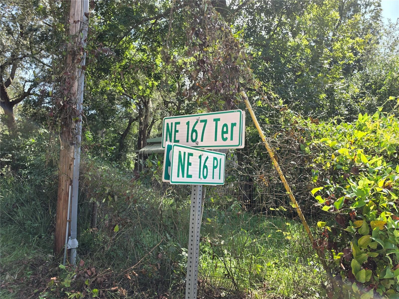 Crossroads for lots. - 0 NE 167TH TER, SILVER SPRINGS