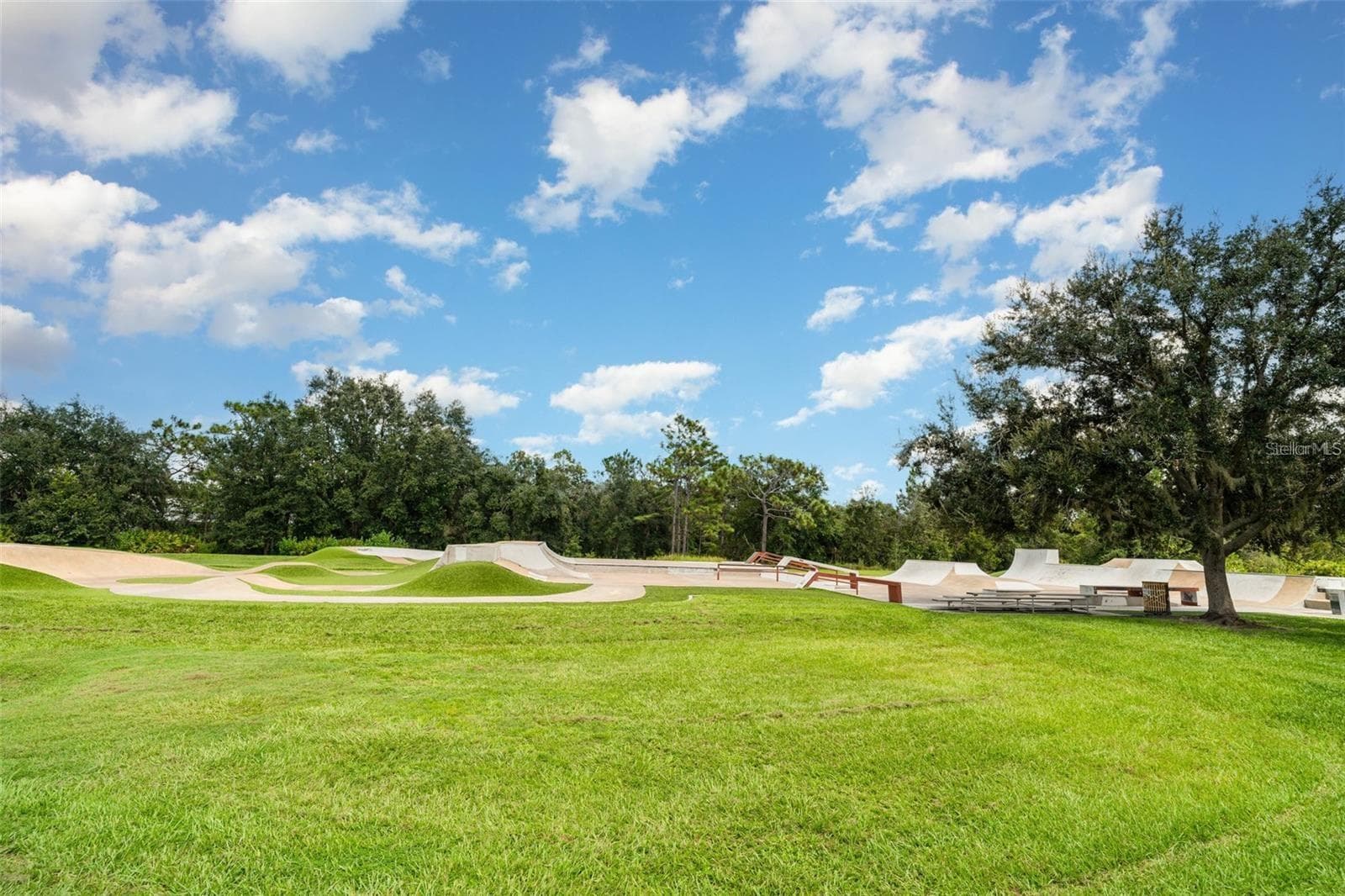 5520 Kinglethill Dr, Lithia FL 33547 - Skate Park - 5520 KINGLETHILL DR, LITHIA