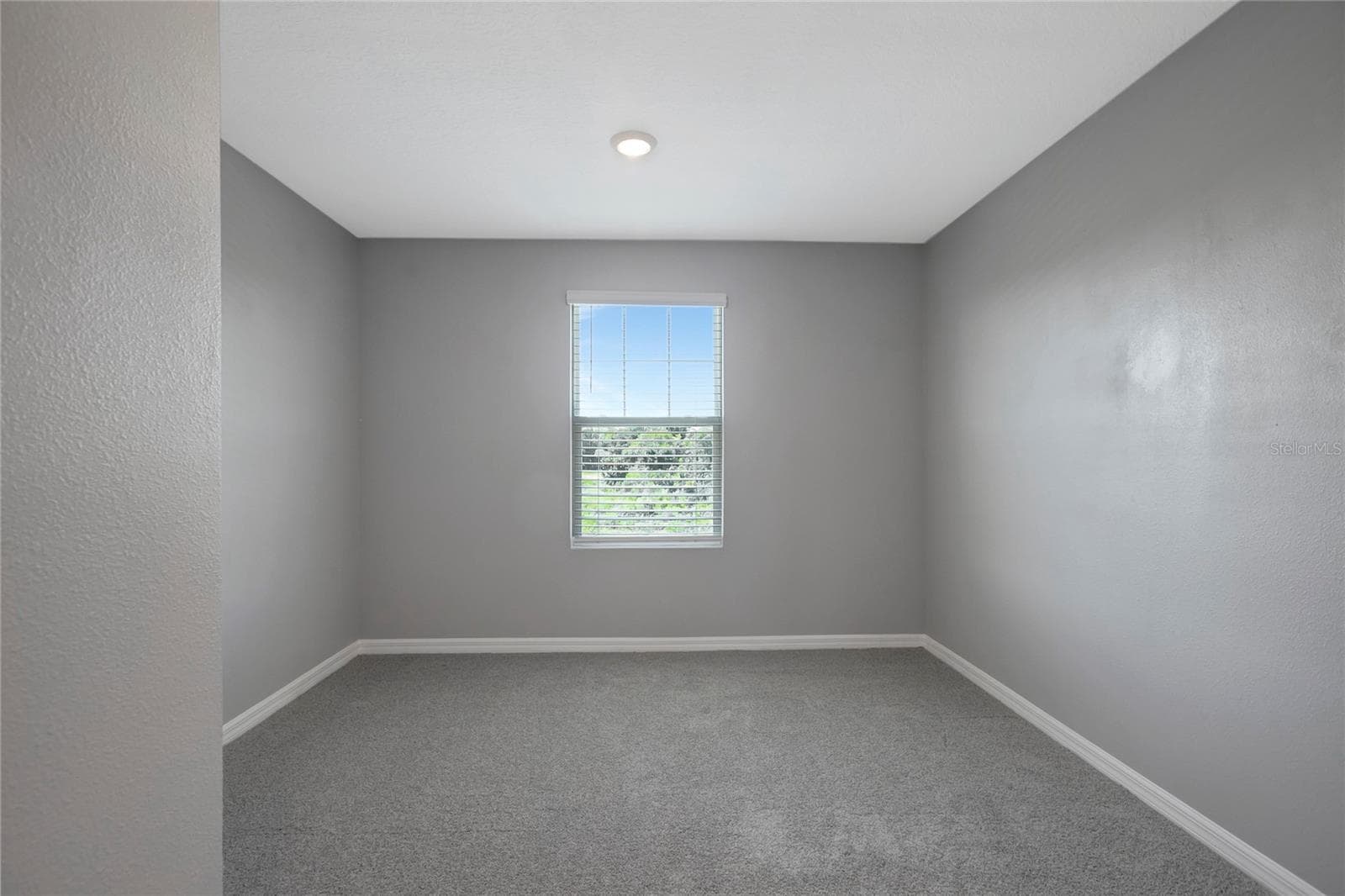 Single Family Residence at 38689 HARLOW ROSE DR, ZEPHYRHILLS, photo 36 of 49
