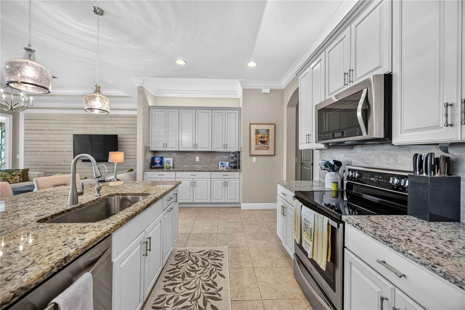 light cabinets and granite, fabulous lighting, large kitchen with multiple cabinets and counters - 24232 GALLBERRY DR, VENICE