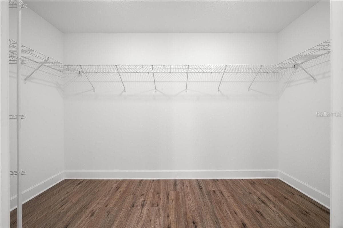 Primary Walk-in Closet - 6241 FREEPORT DR, SPRING HILL