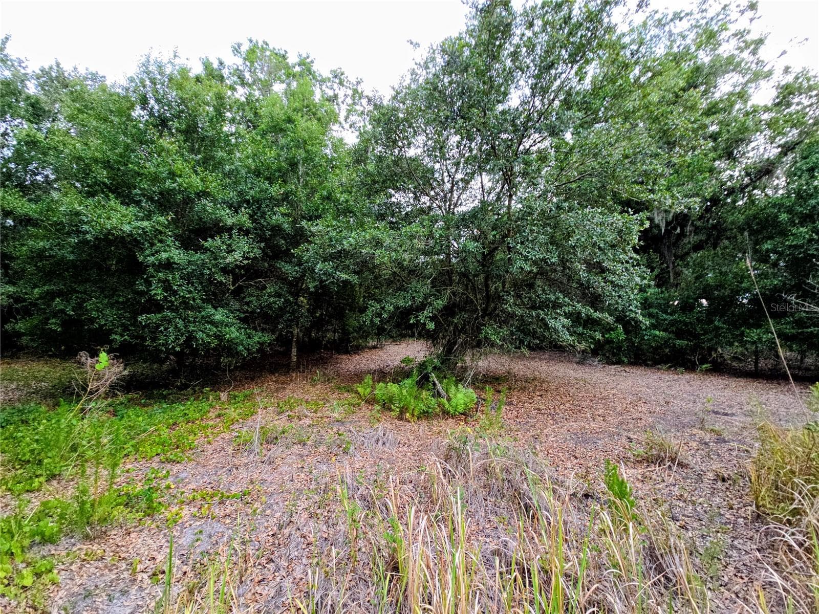 Land at AVON-PARK CUTOFF RD, FORT MEADE, photo 2 of 6