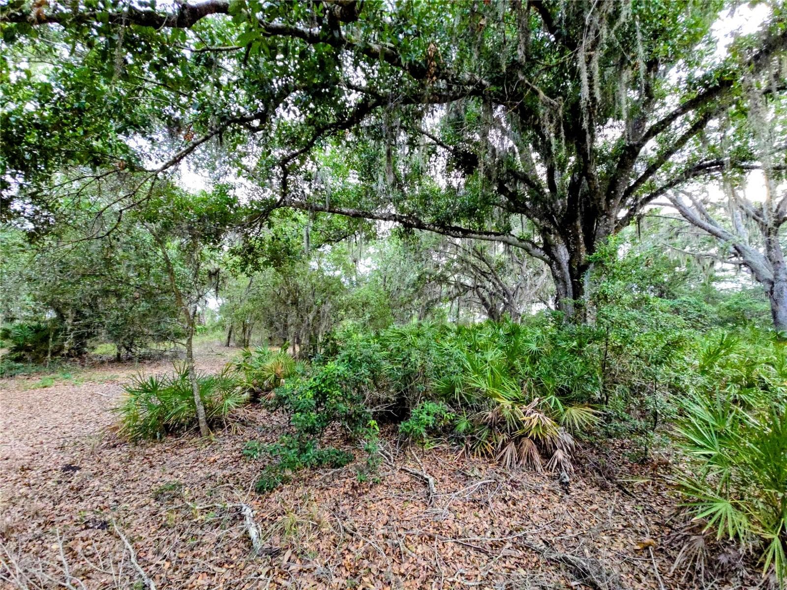 Land at AVON-PARK CUTOFF RD, FORT MEADE, photo 3 of 6