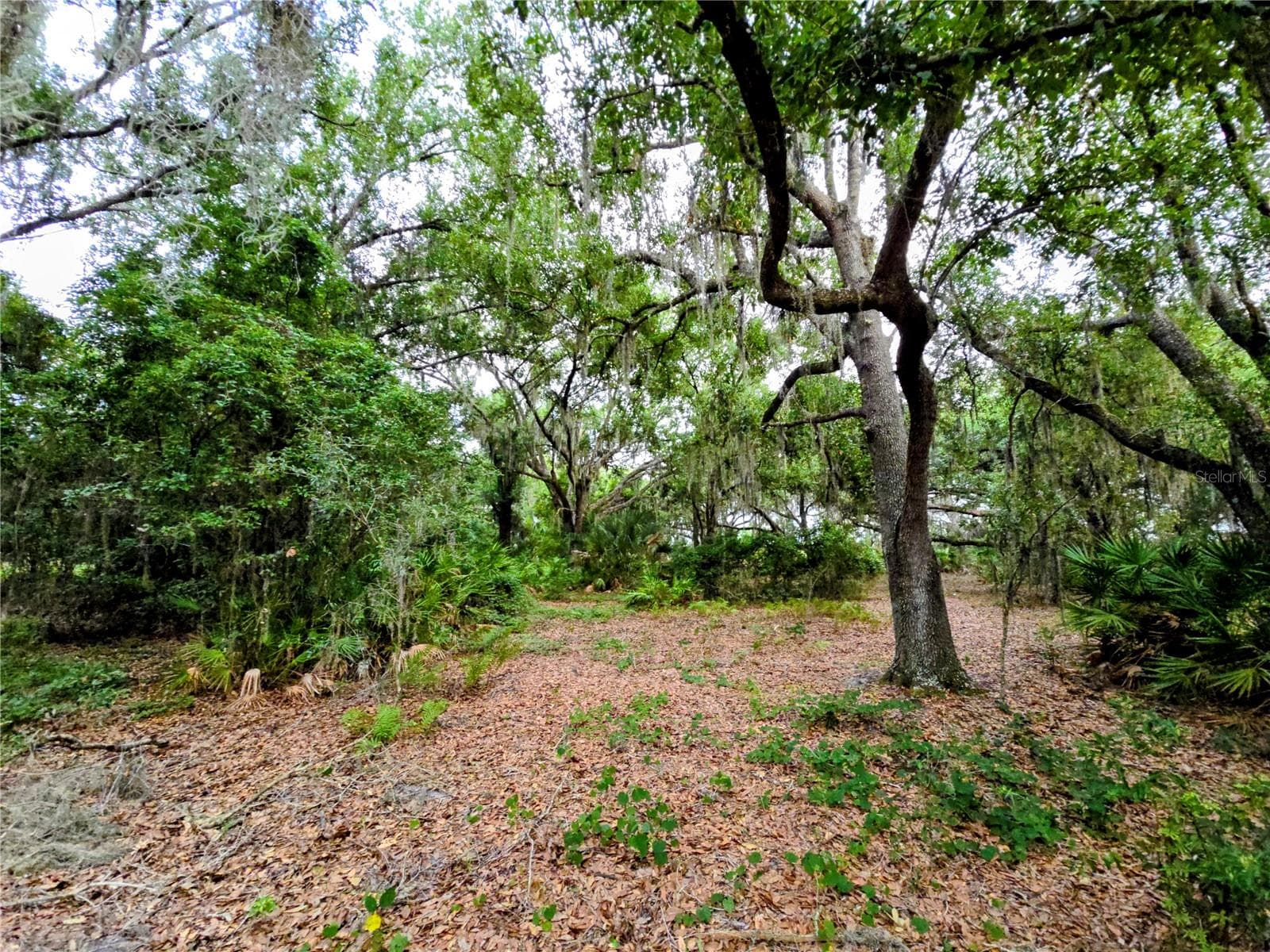 Land at AVON-PARK CUTOFF RD, FORT MEADE, photo 4 of 6