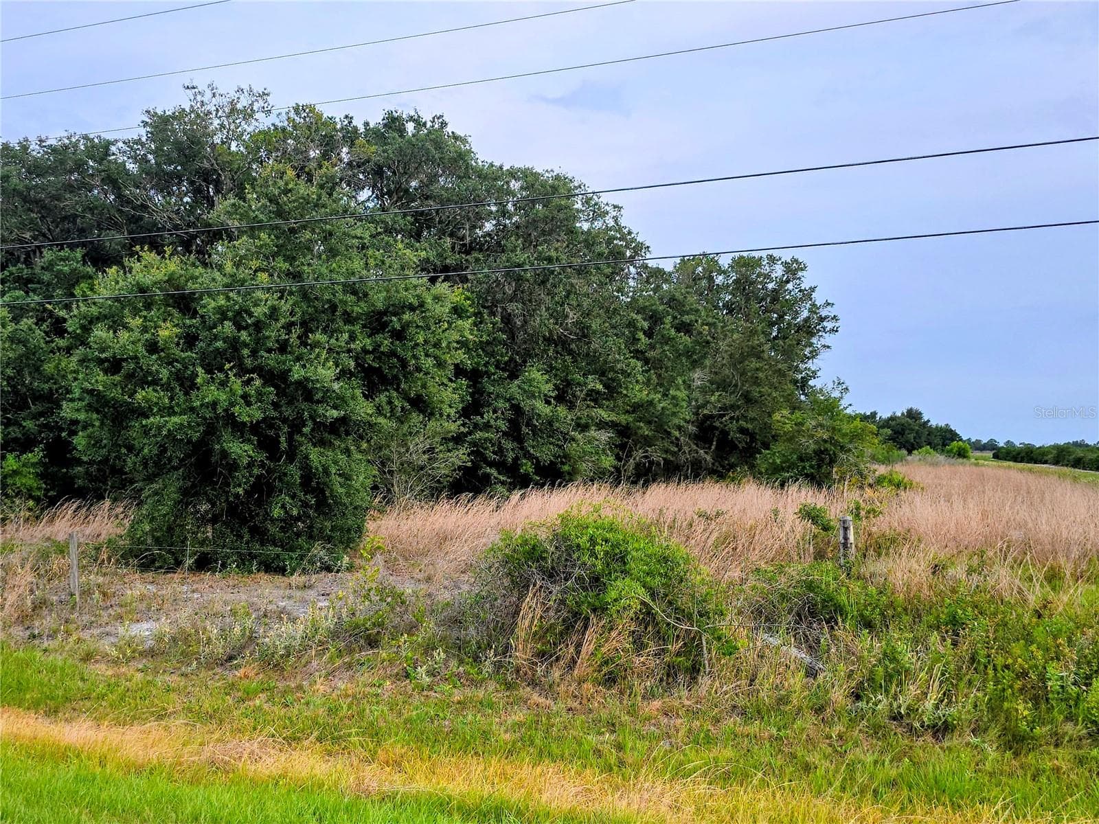 Land at AVON-PARK CUTOFF RD, FORT MEADE, photo 5 of 6