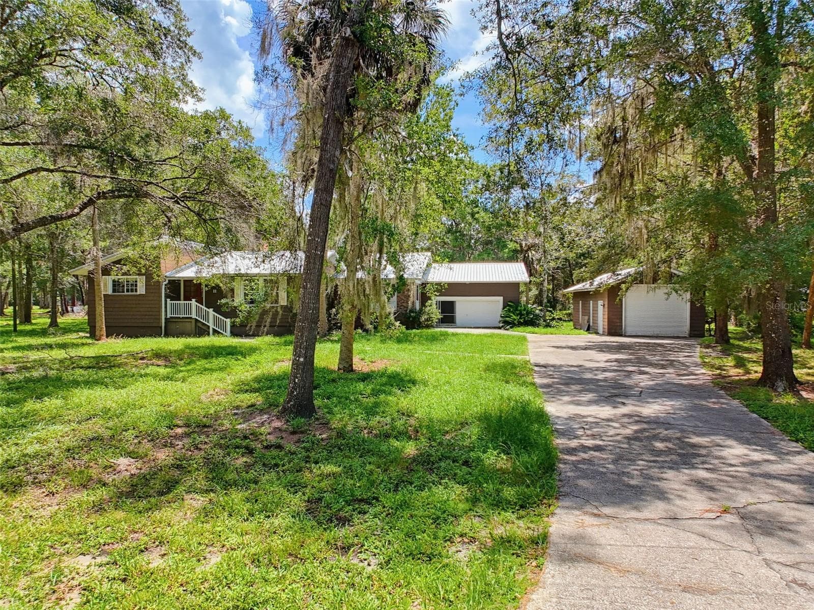 11 PATRICIA RD