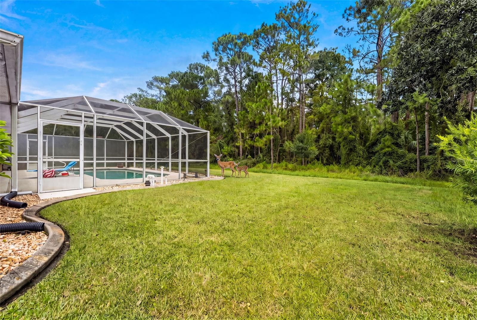Single Family Residence at 1903 CREEKWATER BLVD, PORT ORANGE, photo 40 of 49