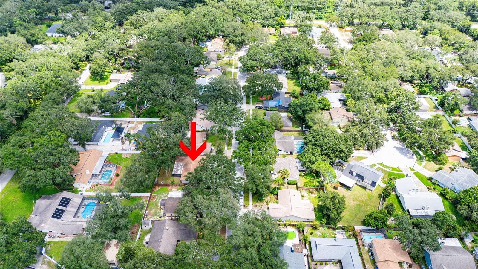 Single Family Residence at 2423 FORREST CREST CIR, LUTZ, photo 43 of 45