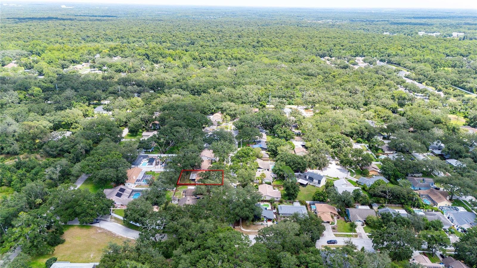 Single Family Residence at 2423 FORREST CREST CIR, LUTZ, photo 44 of 45