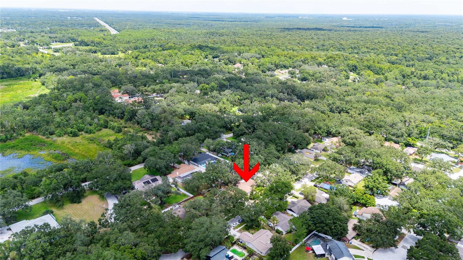 Single Family Residence at 2423 FORREST CREST CIR, LUTZ, photo 45 of 45