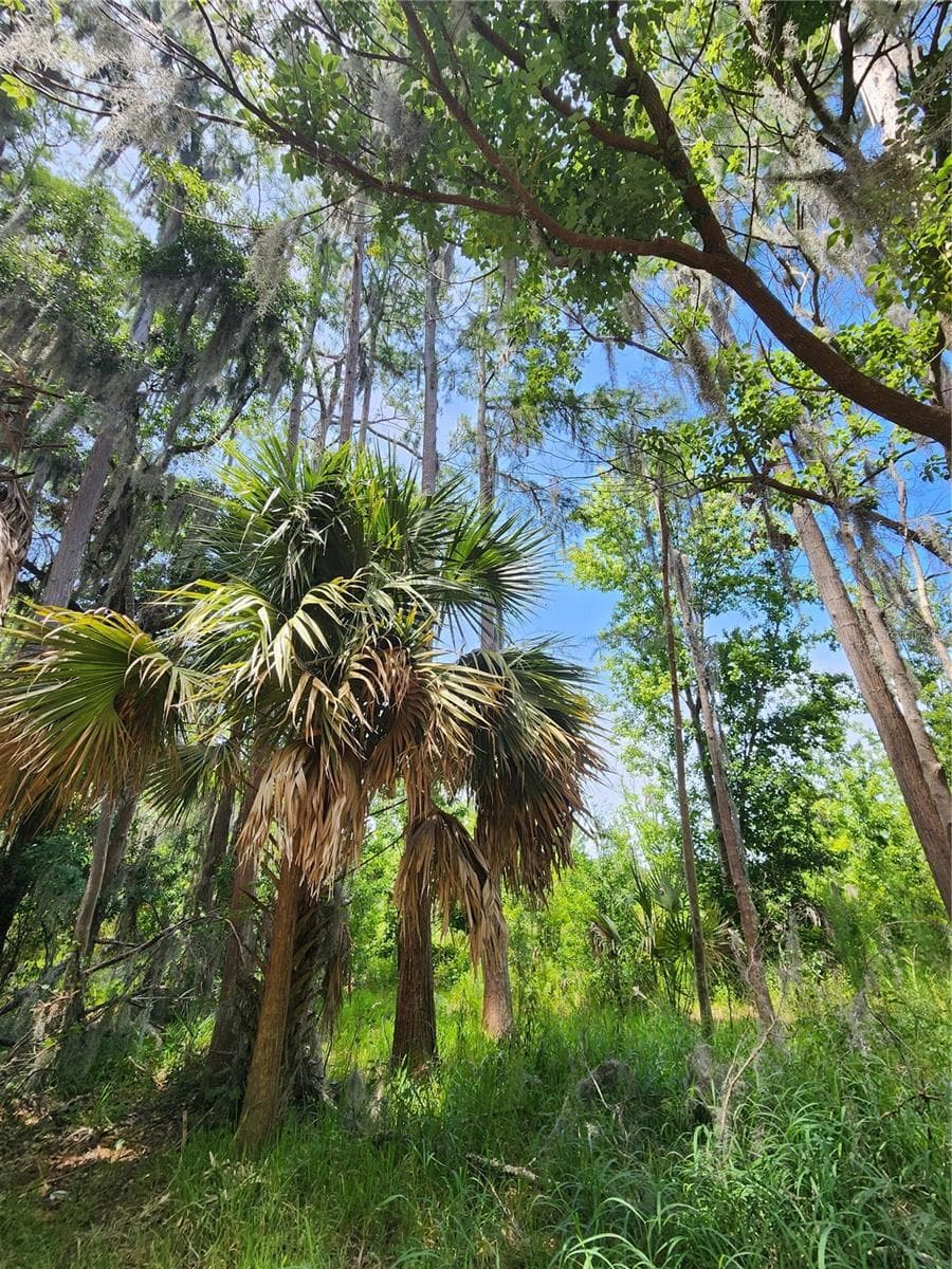 Land at ARROWHEAD BLVD, WINTER GARDEN, photo 2 of 3