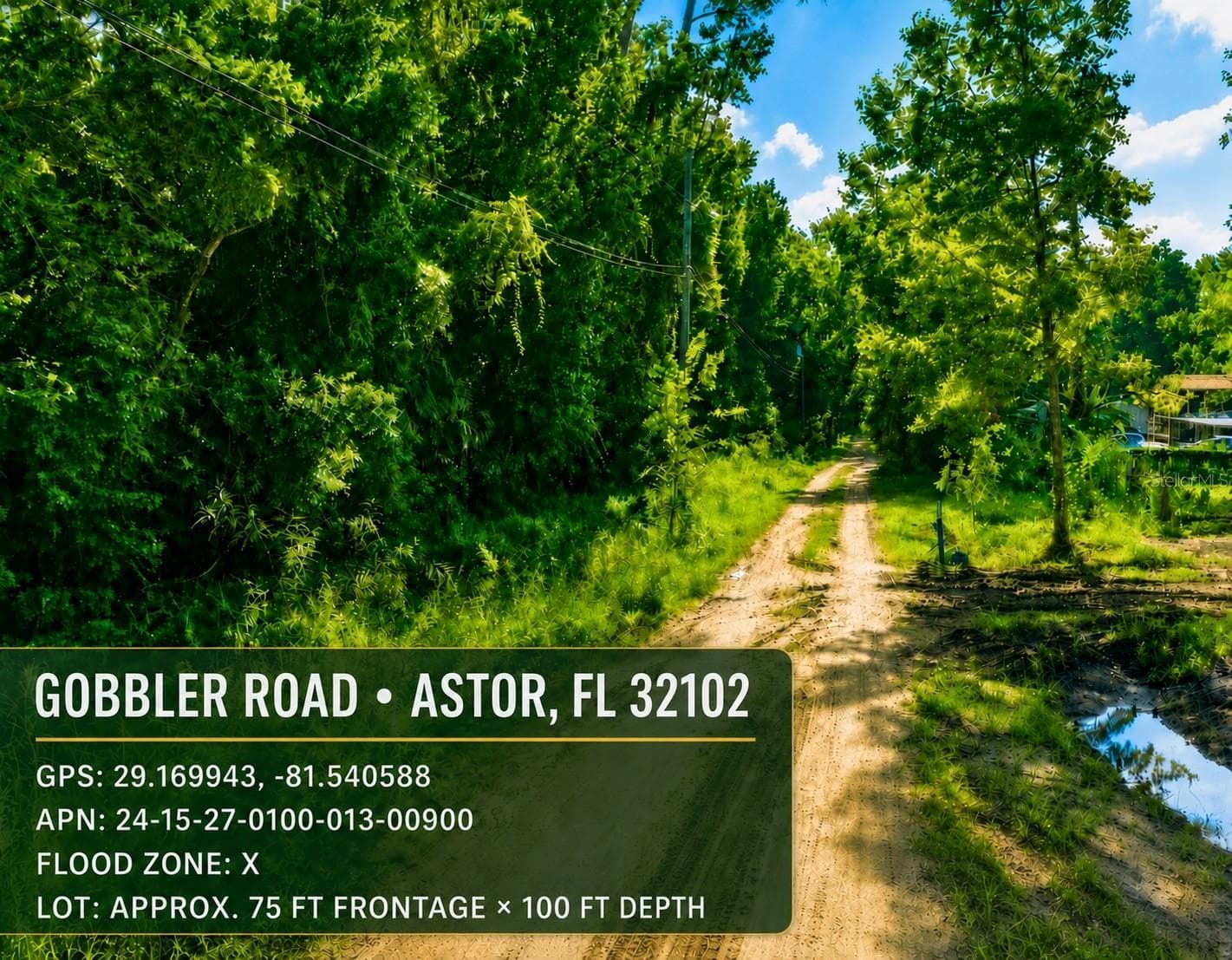 Land at GOBBLER RD, ASTOR, photo 5 of 33