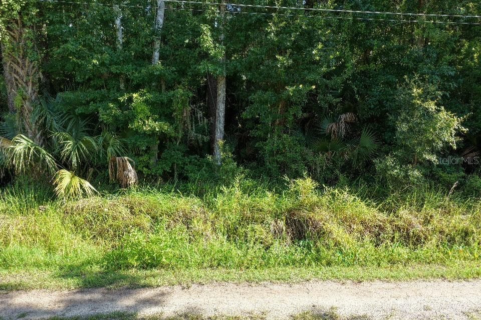 Land at GOBBLER RD, ASTOR, photo 2 of 33