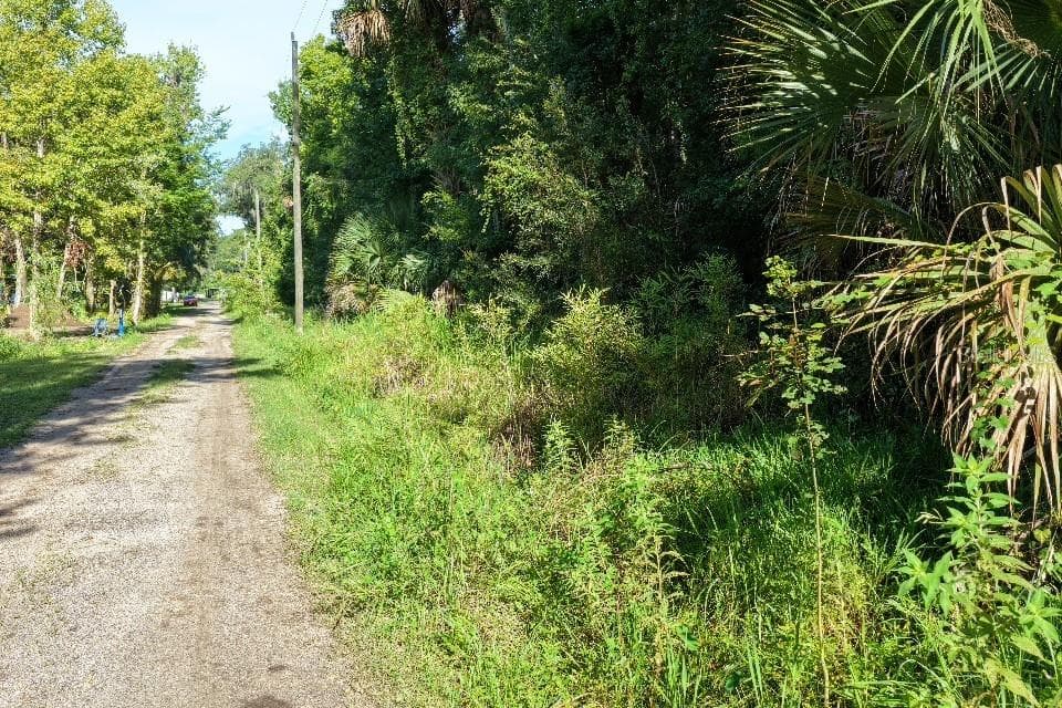 Land at GOBBLER RD, ASTOR, photo 7 of 33
