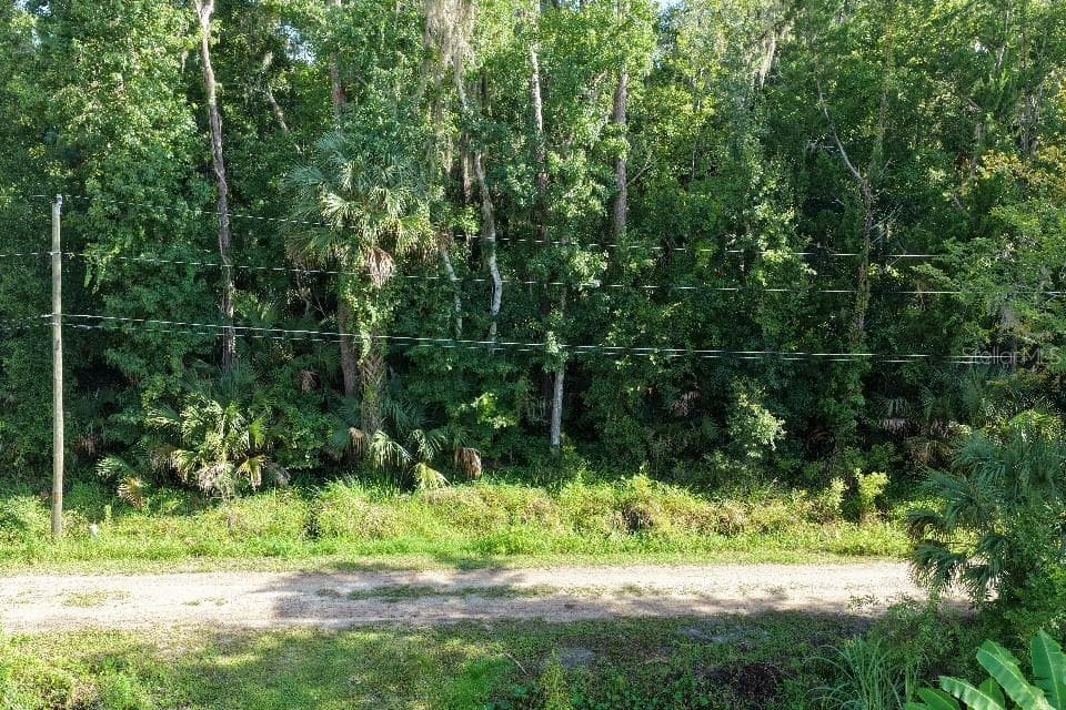 Land at GOBBLER RD, ASTOR, photo 8 of 33