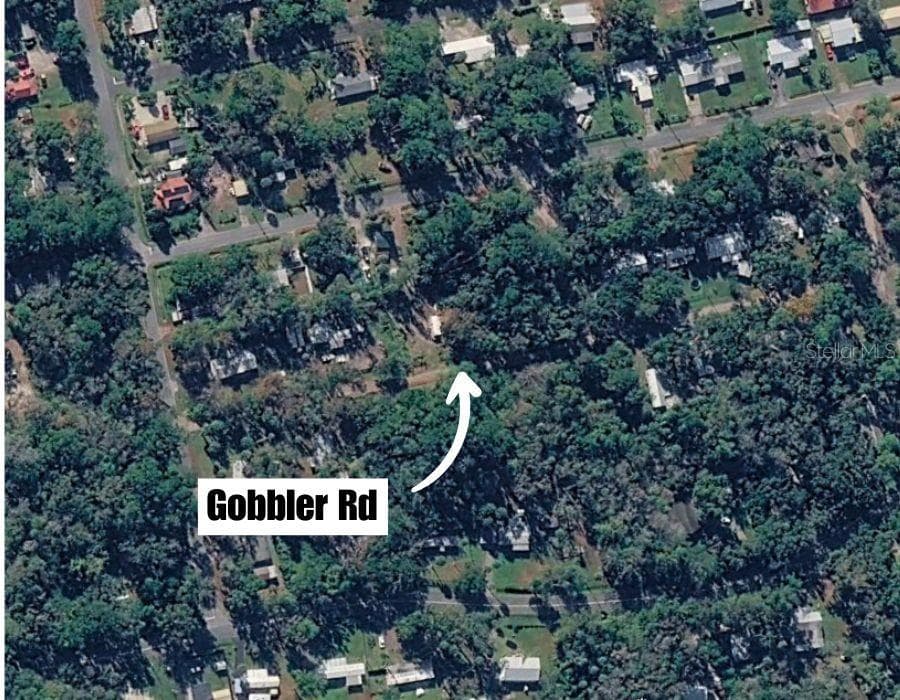 Land at GOBBLER RD, ASTOR, photo 9 of 33