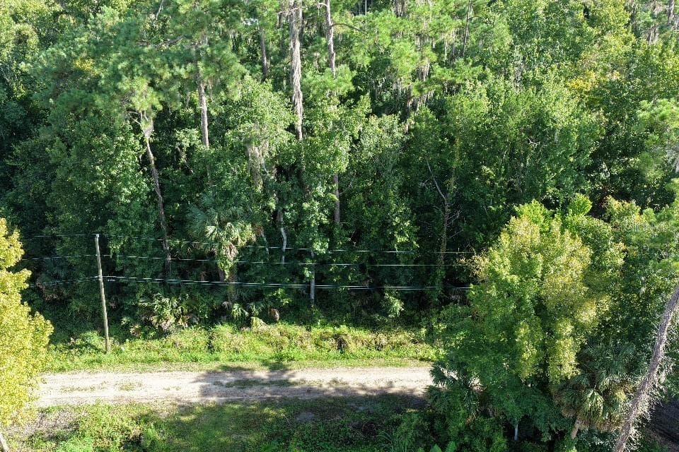Land at GOBBLER RD, ASTOR, photo 10 of 33