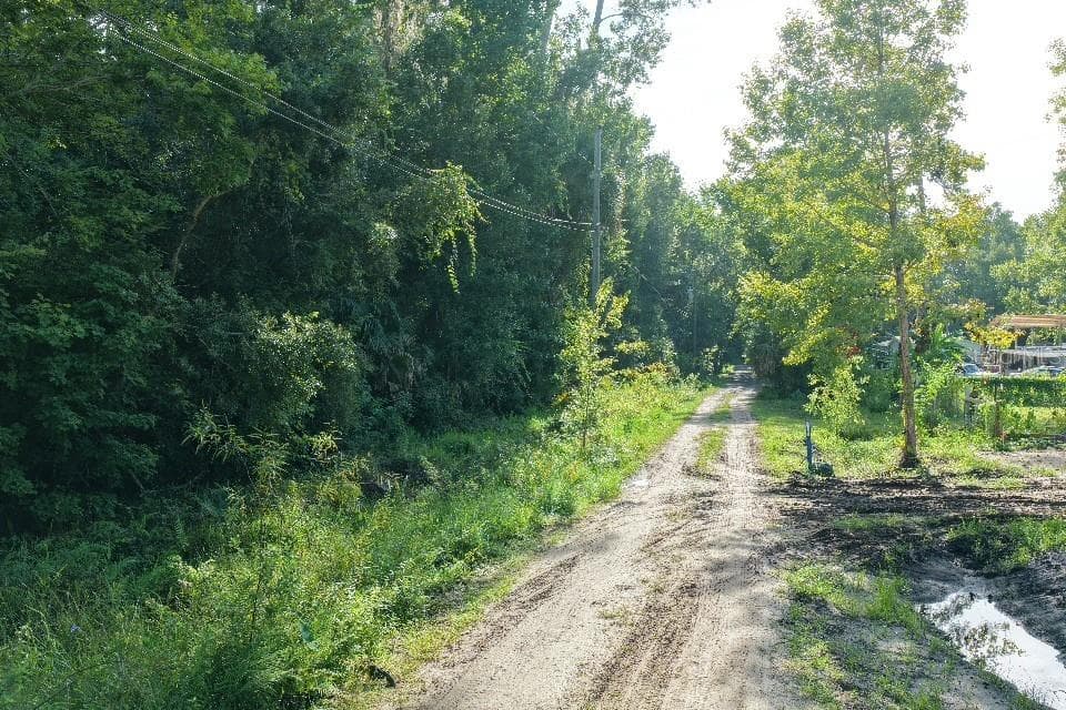 Land at GOBBLER RD, ASTOR, photo 12 of 33