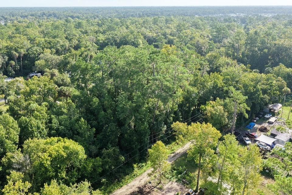 Land at GOBBLER RD, ASTOR, photo 6 of 33